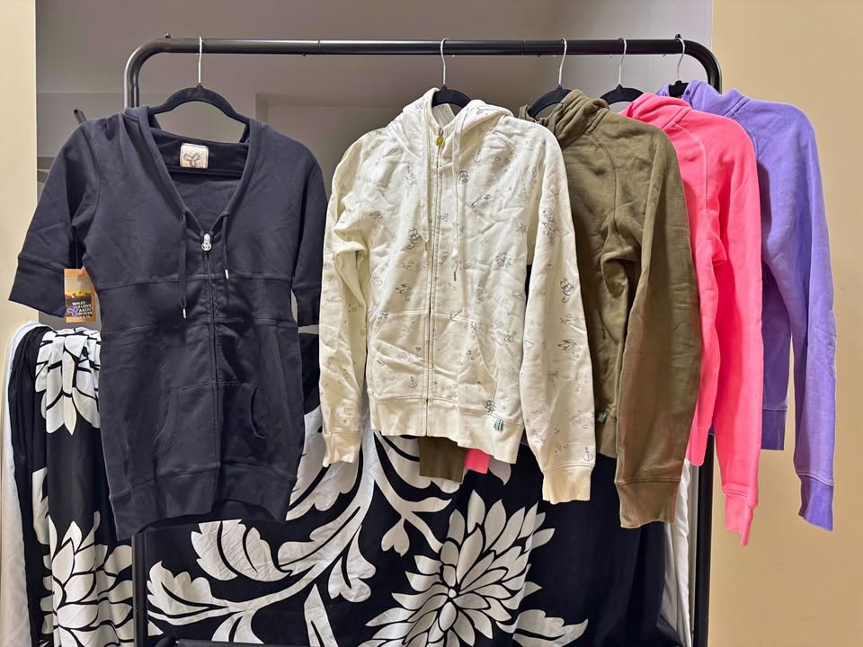 Aritzia TNA Hoodies