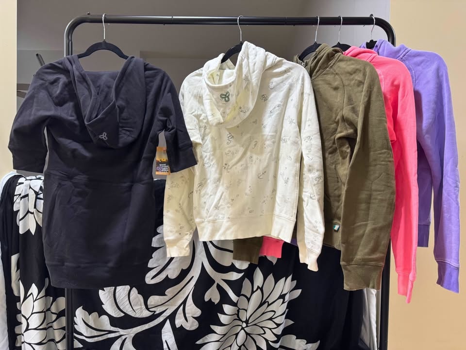 Aritzia TNA Hoodies - photo 2