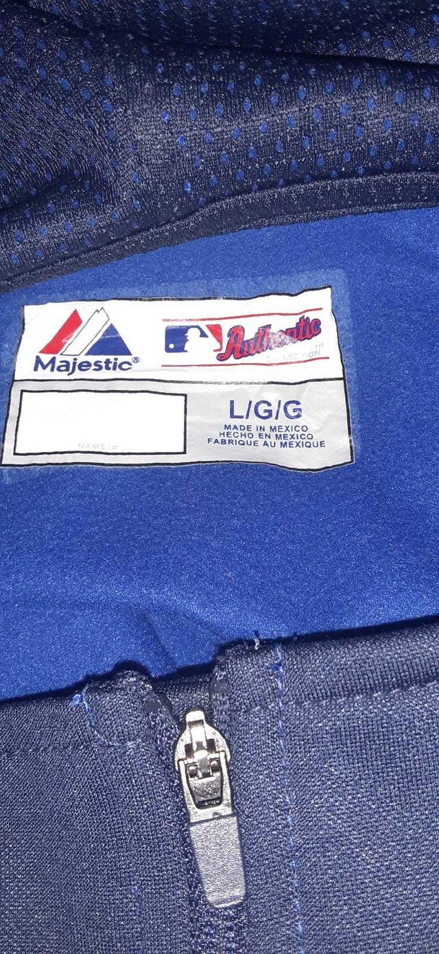 Blue jays majestic hoodie - photo 2