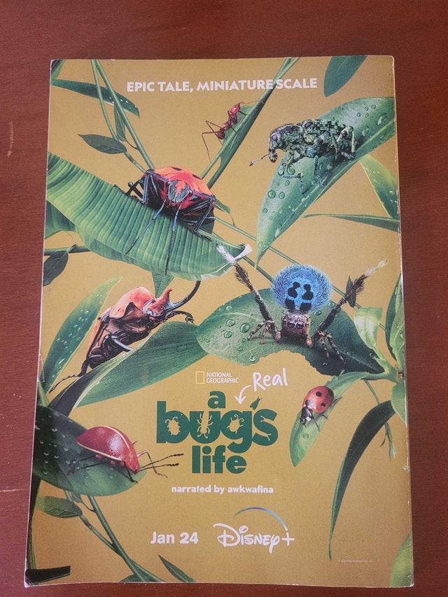 2024 National Geographic Magazine - Saving the Monarchs - photo 2
