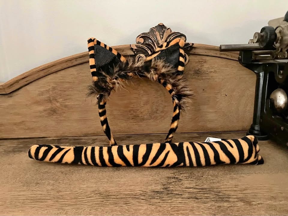 Cat ears and tail costume set