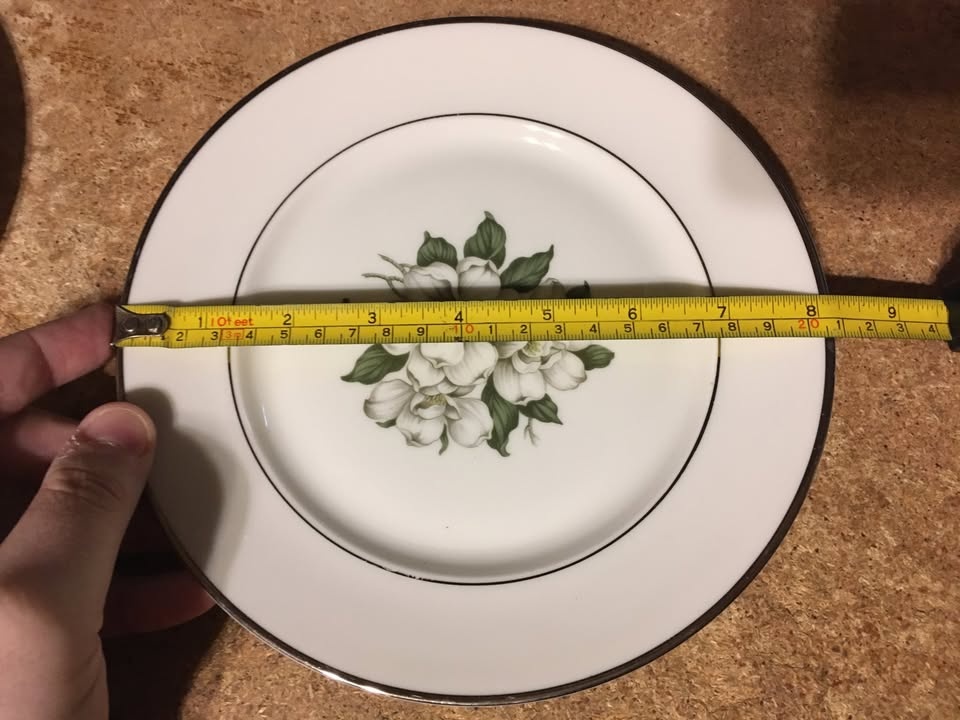 SET OF 4 EMBASSY USA VITRIFIED CHINA WHITE FLOWER PLATE 8" - photo 5