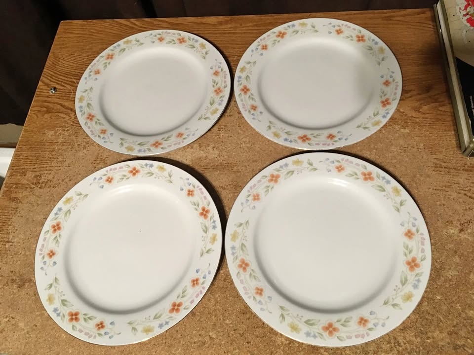SET OF 4 SEAGULL FINE CHINA FLORAL PATTERN PLATE 10.25"