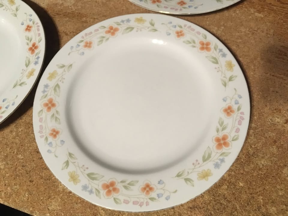 SET OF 4 SEAGULL FINE CHINA FLORAL PATTERN PLATE 10.25" - photo 2