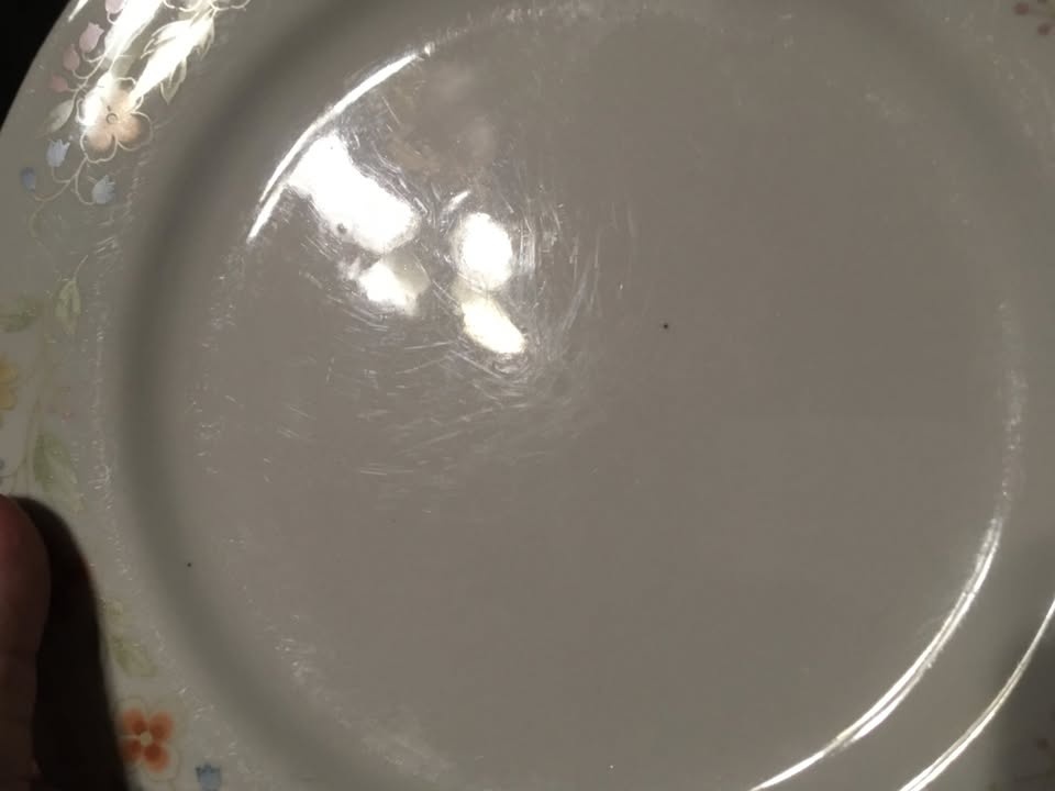 SET OF 4 SEAGULL FINE CHINA FLORAL PATTERN PLATE 10.25" - photo 5