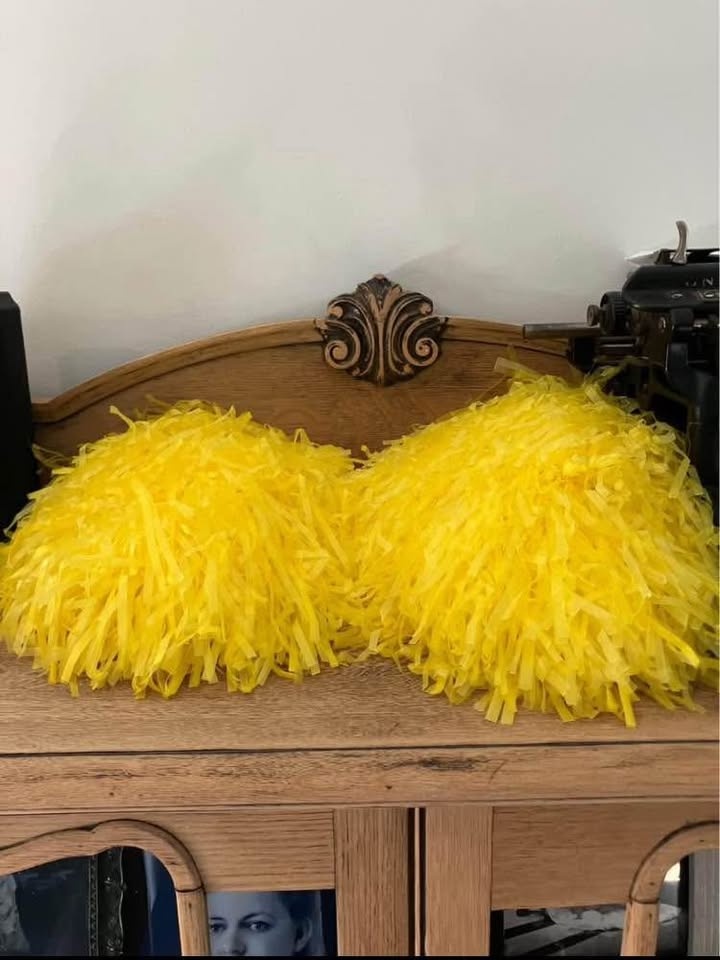 Girls Archie Riverdale Cheerleader Halloween Costume Size Medium - photo 3