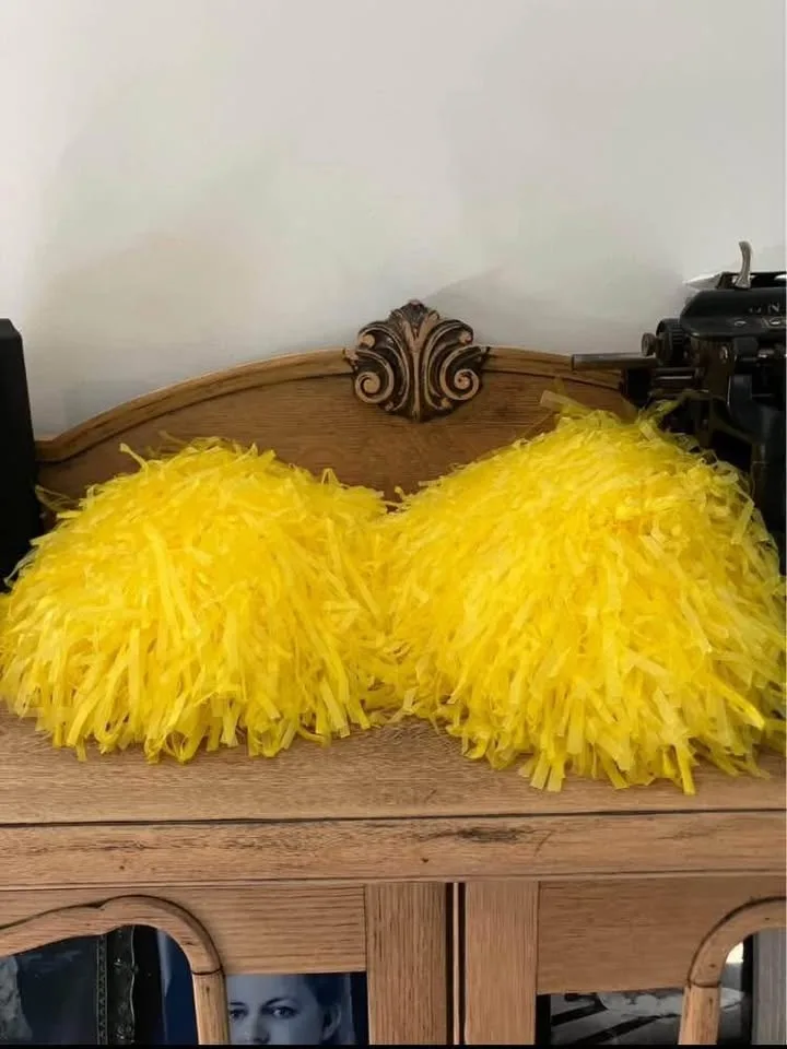 Girls Archie Riverdale Cheerleader Halloween Costume Size Medium image indicator(3)