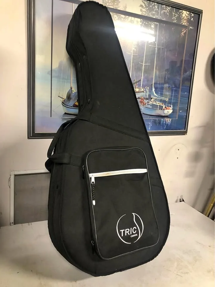 Guitar case