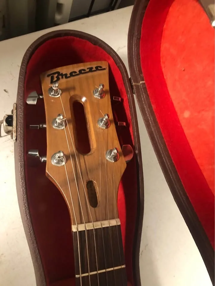 One of a kind Electric Guitar image indicator(3)