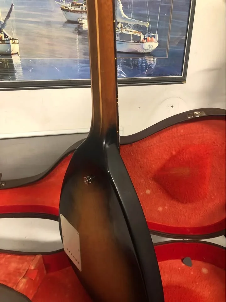 One of a kind Electric Guitar image indicator(5)