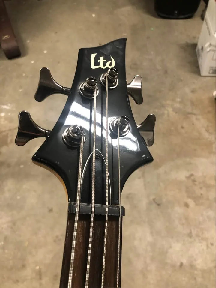 LTD bass guitar image indicator(2)