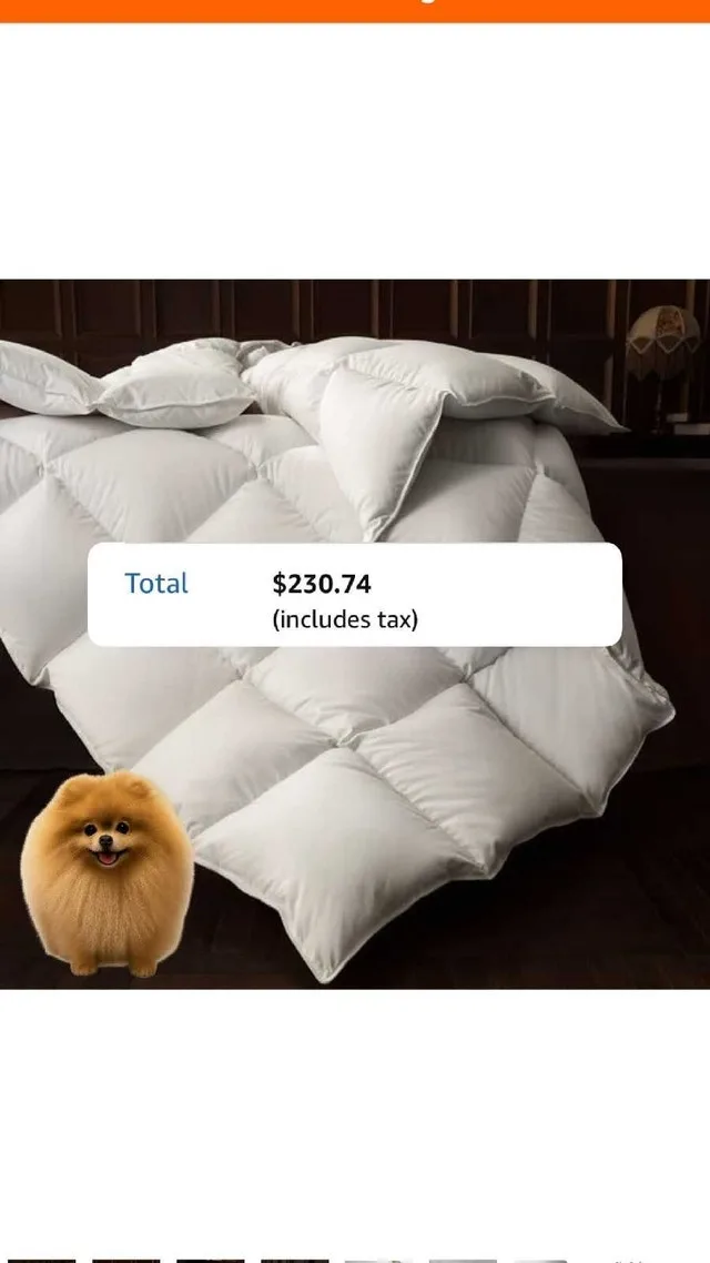 Organic Cotton Down Feather Fiber Duvet – California