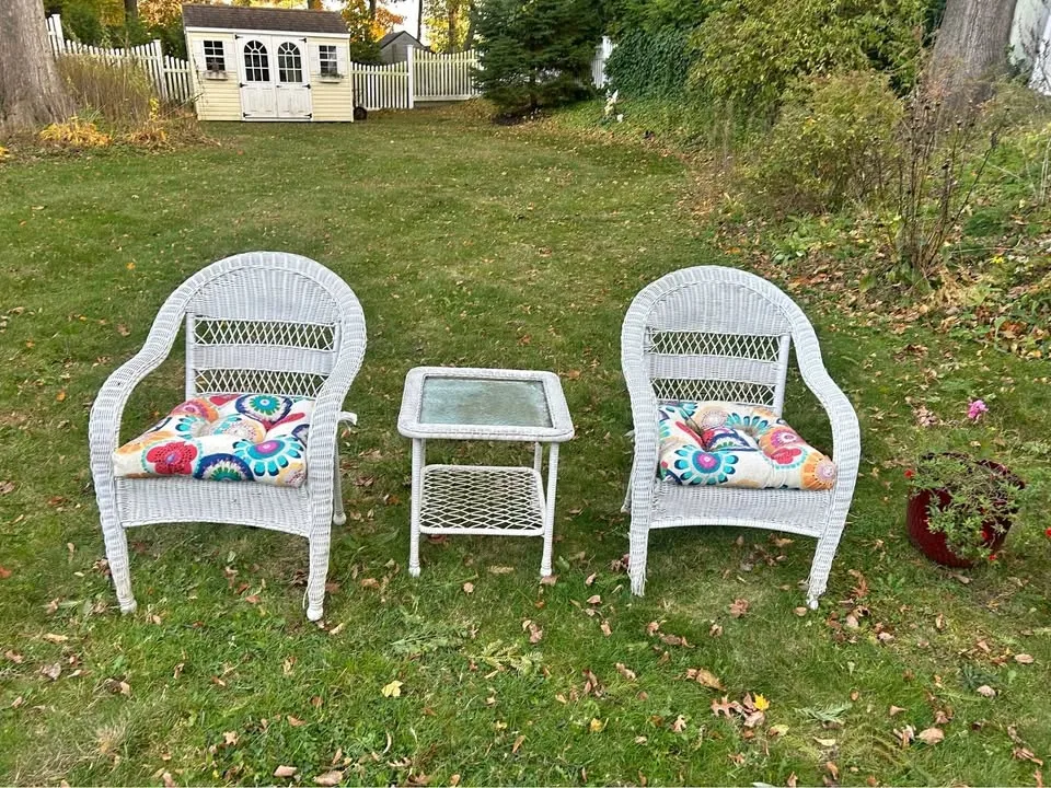 Wicker chairs and table with cushions