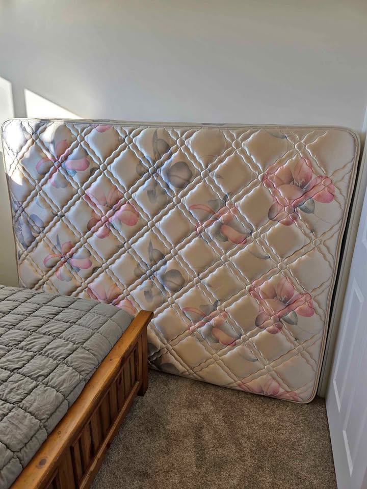 Queen Sealy Posturepedic Mattress