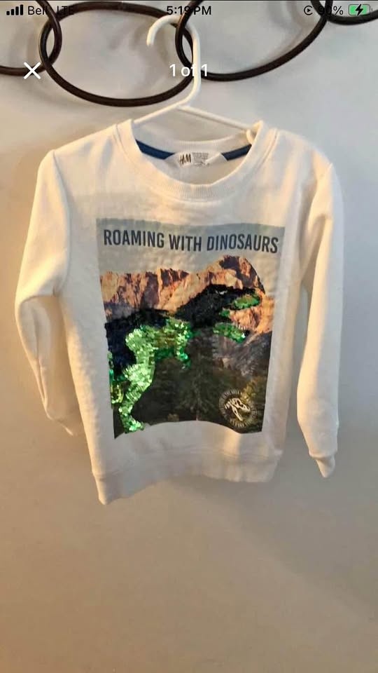 Boys Sweatshirt Dinosaurs (H&M) - Size 4-6