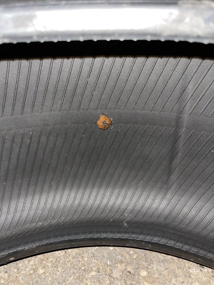 Bridgestone Blizzak WS80 245/40/18 - photo 4