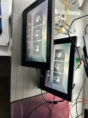 Audi Rear Entertainment (2 unit)