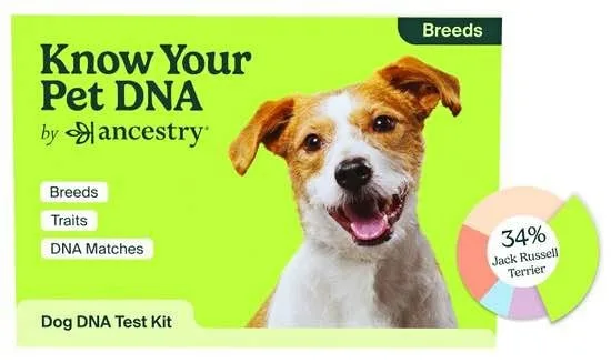 Ancestry Know Your Pet DNA, Dog Breed Identification Test Kit