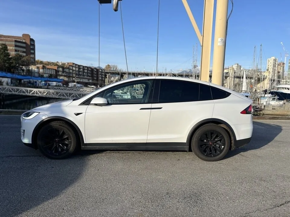 2020 Tesla Model X image indicator(3)