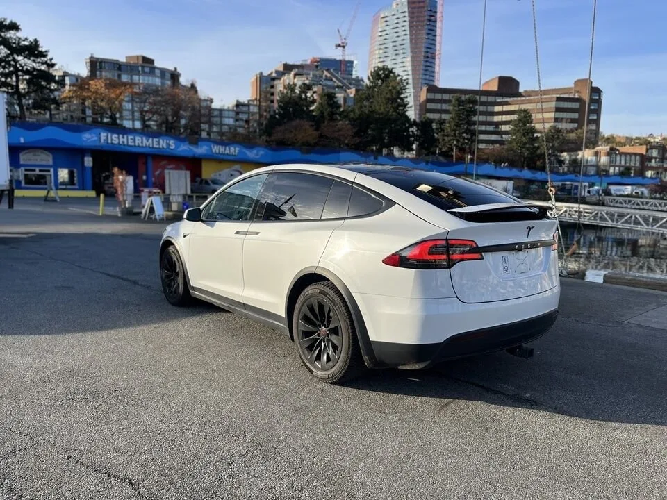 2020 Tesla Model X image indicator(4)