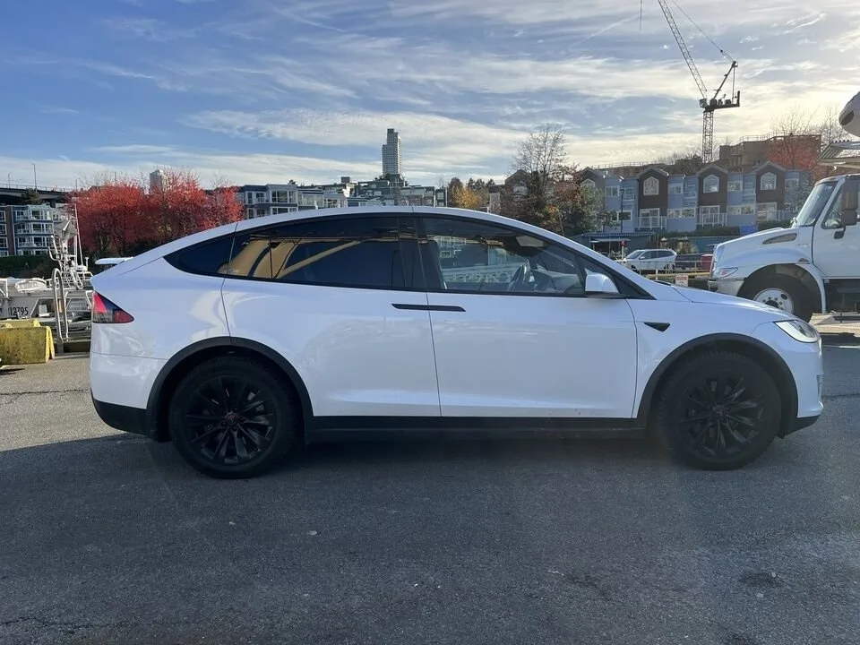 2020 Tesla Model X image indicator(7)