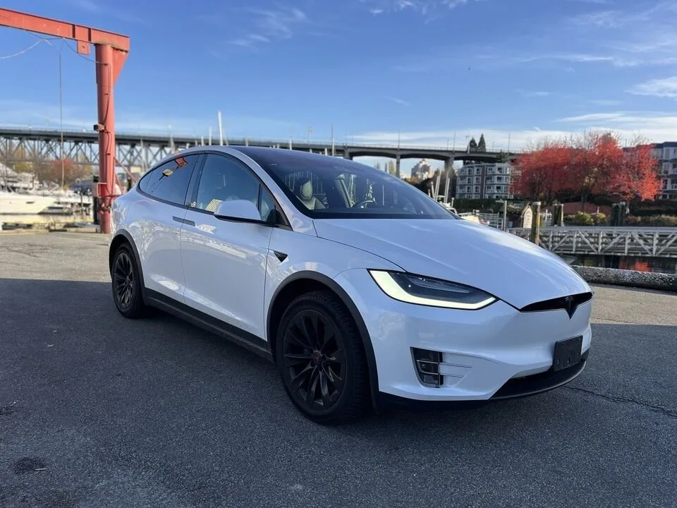 2020 Tesla Model X image indicator(8)