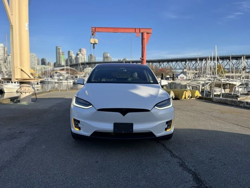 2020 Tesla Model X image indicator(9)