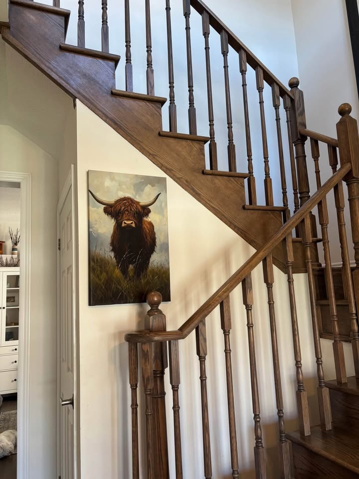 Farmhouse Highland Cow Canvas Wall Art - photo 2