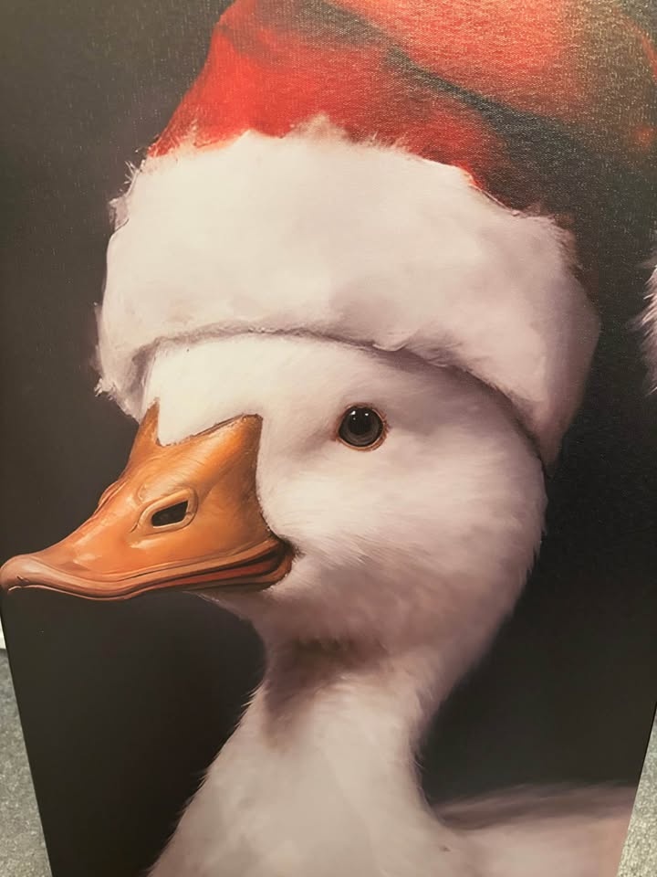 Festive Farmhouse Duck Canvas-Ready To Hang Wall Art - photo 2