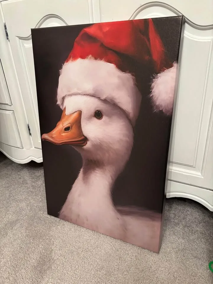 Festive Farmhouse Duck Canvas-Ready To Hang Wall Art image indicator(3)