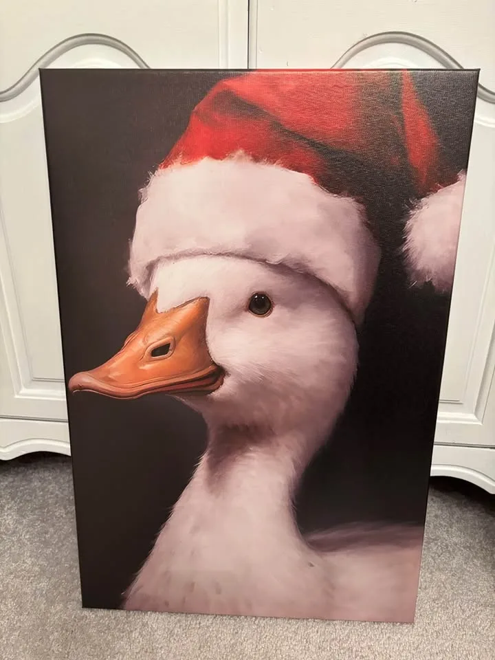 Festive Farmhouse Duck Canvas-Ready To Hang Wall Art image indicator(5)