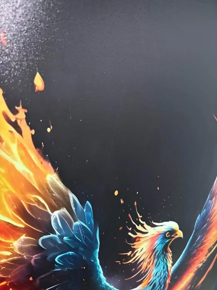 XL Phoenix Canvas Wall Art-Ready To Hang Slightly Imperfect image indicator(4)