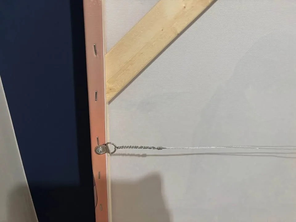 LG Colourful Birds Canvas Wall Art-Ready To Hang image indicator(6)