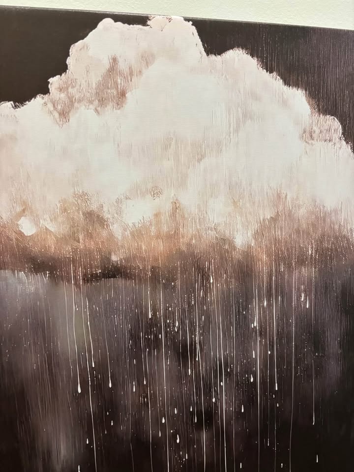 Raincloud Canvas Wall Art-Ready To Hang - photo 2