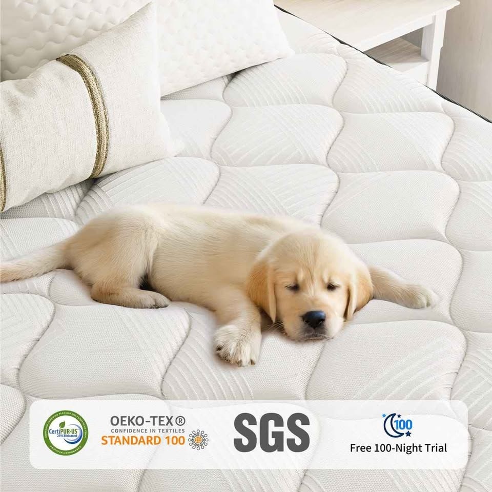 Alwyn Home Cool Hybrid Pocket Coil Mattress 12 in - photo 2