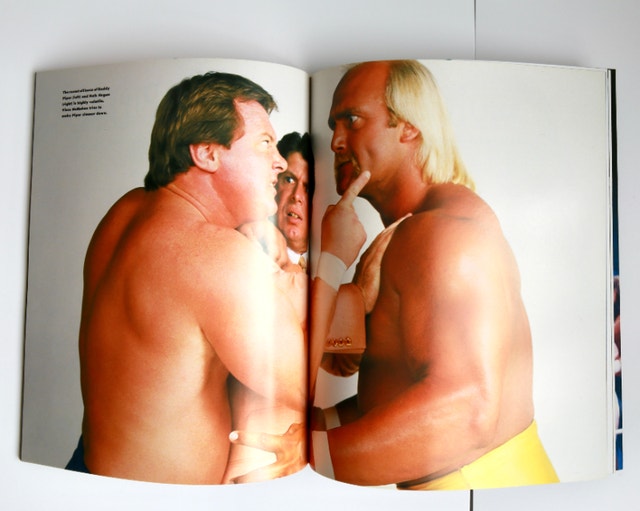 Wrestling Bashers & Beauties Soft Cover book - photo 4