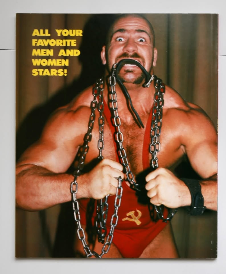 Wrestling bashers and beauties - Hulk Hogan Piper Flair WWE WWF - photo 2