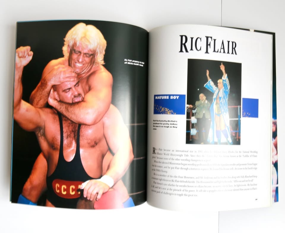 Wrestling bashers and beauties - Hulk Hogan Piper Flair WWE WWF - photo 3