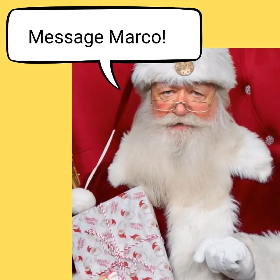 🎅 Personalized Santa Video – Says Your Child’s Name! 🎄 image indicator(4)