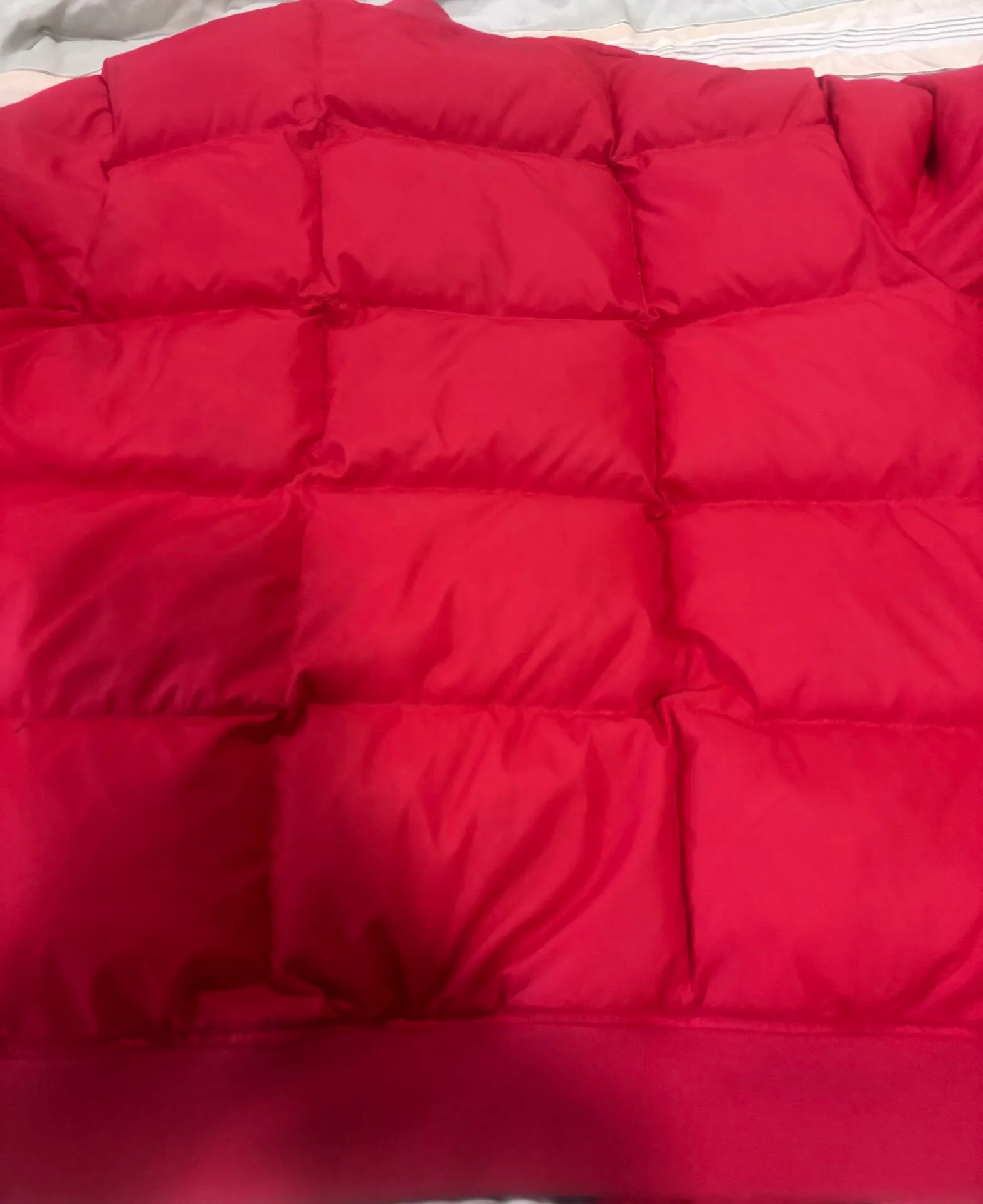 Authentic Tommy Hilfiger puffer jacket in a bold red color size image indicator(6)