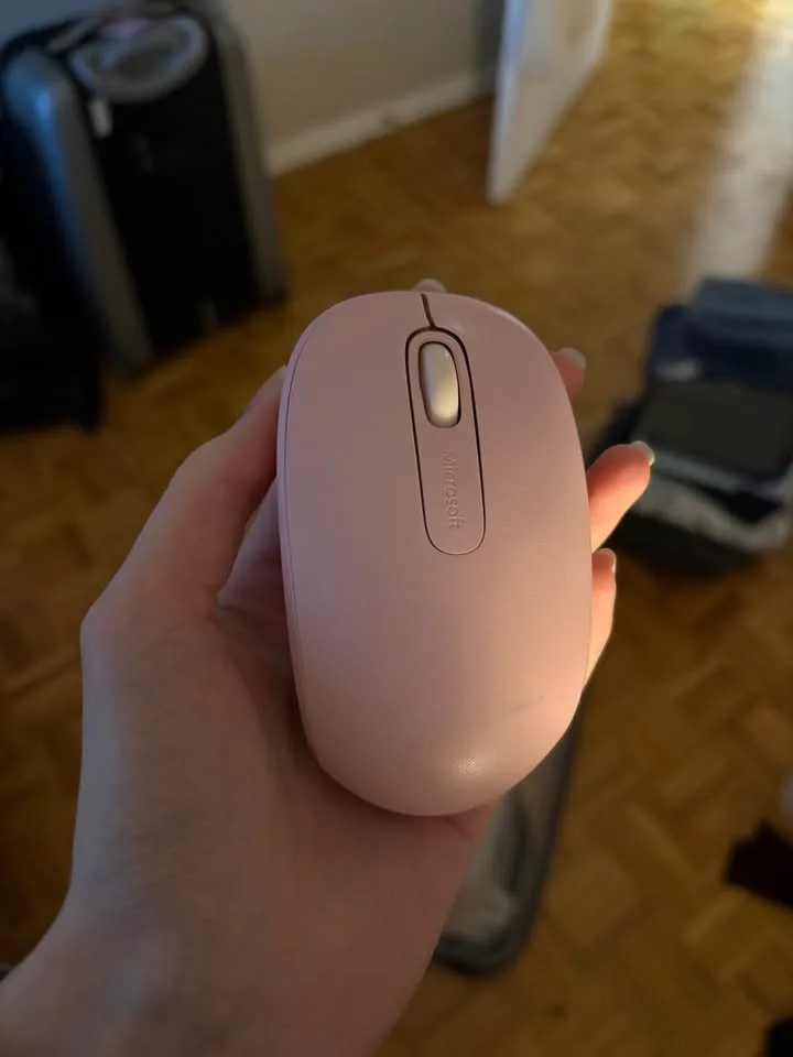 MOVING ABROAD SALE - READ BELOW image indicator(10)