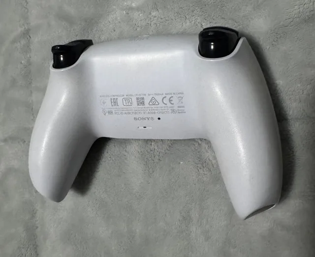 PlayStation 5 image indicator(4)