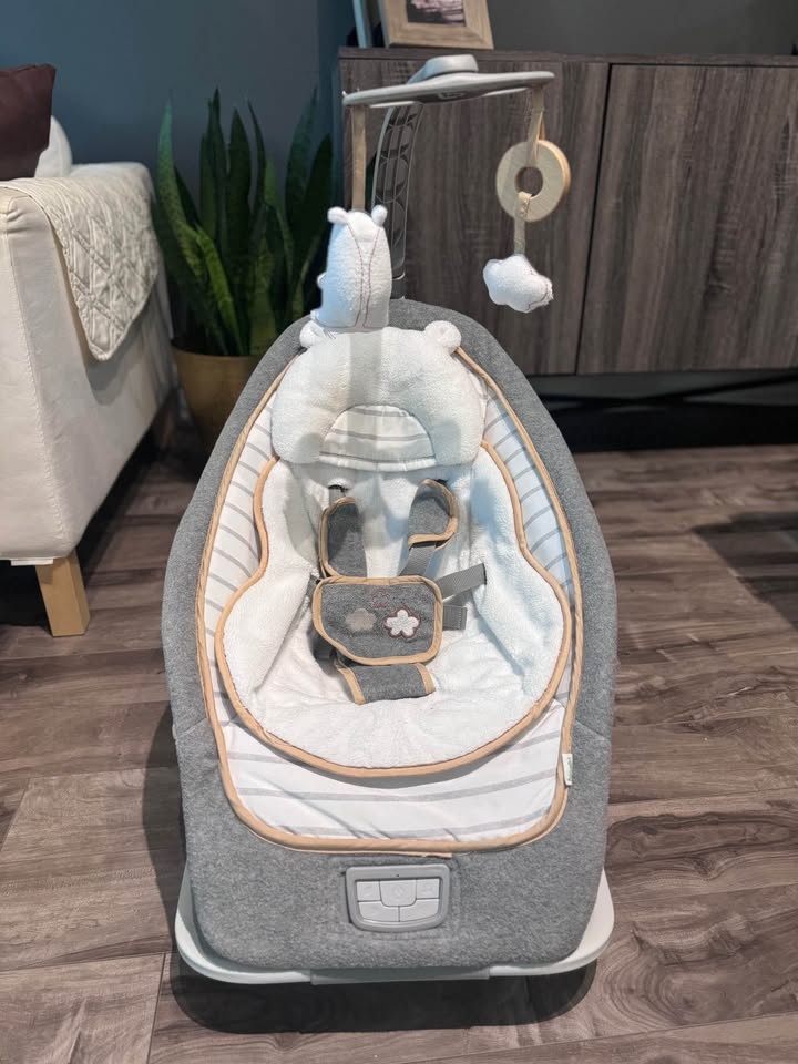 Baby’s First Year Gear - photo 3