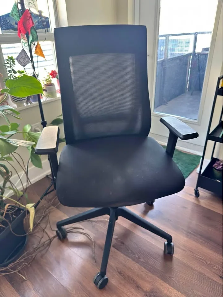 Ergonomic Office Chair