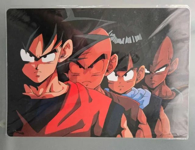 Dragon Ball Z Japanese Plastic Sheet