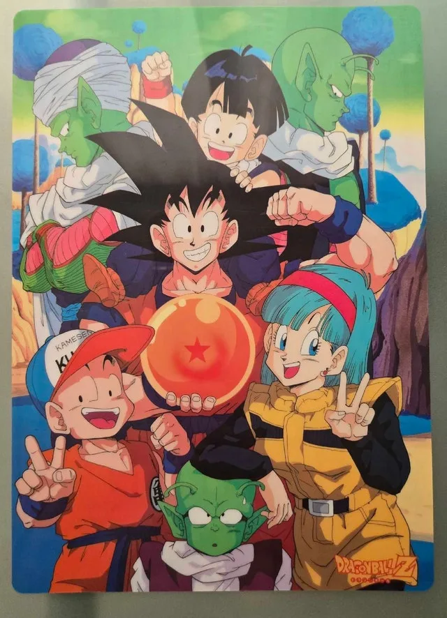 Dragon Ball Z Japanese Plastic Sheet