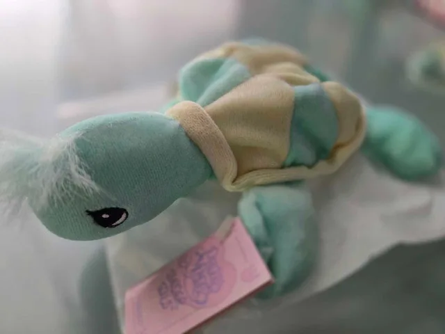 3 different Precious Moments Turtle Plush image indicator(2)