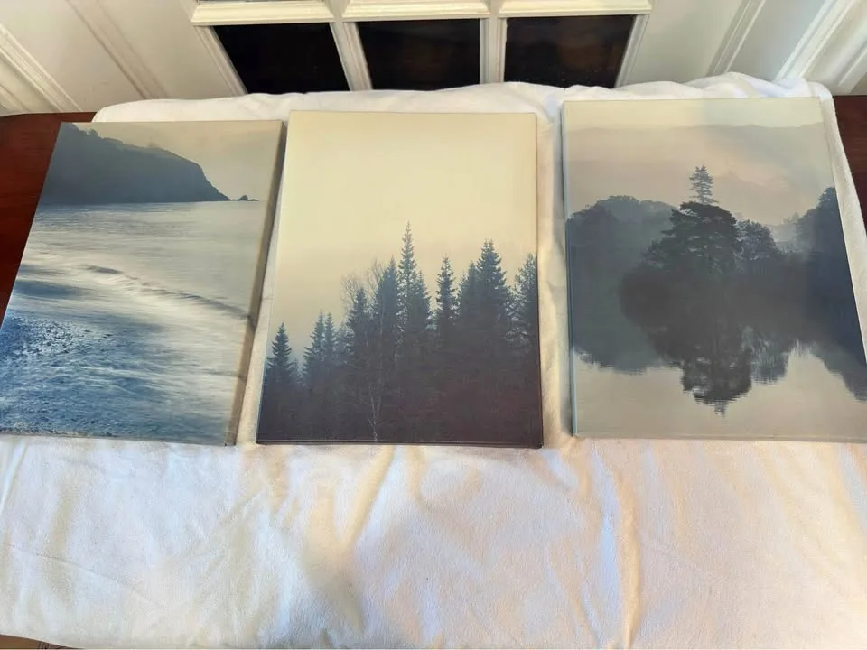 Art canvas (3 peices) $20 for all 3