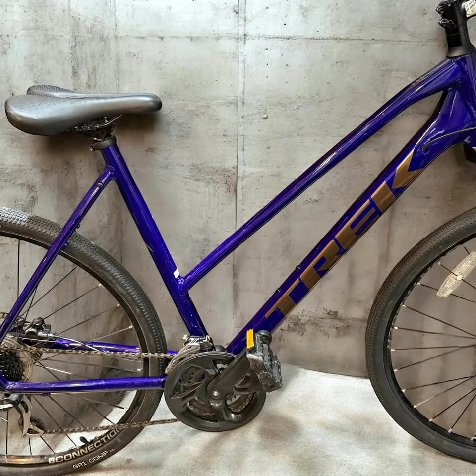 Trek Dual Sport 2 - Large Woman’s Bicycle $350