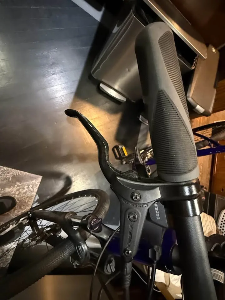 Trek Dual Sport 2 - Large Woman’s Bicycle $350 image indicator(7)